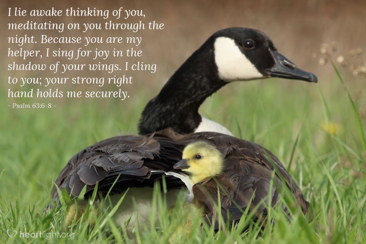 Illustration of Psalm 63:6-8 — I lie awake thinking of you, meditating on you through the night. Because you are my helper, I sing for joy in the shadow of your wings. I cling to you; your strong right hand holds me securely.