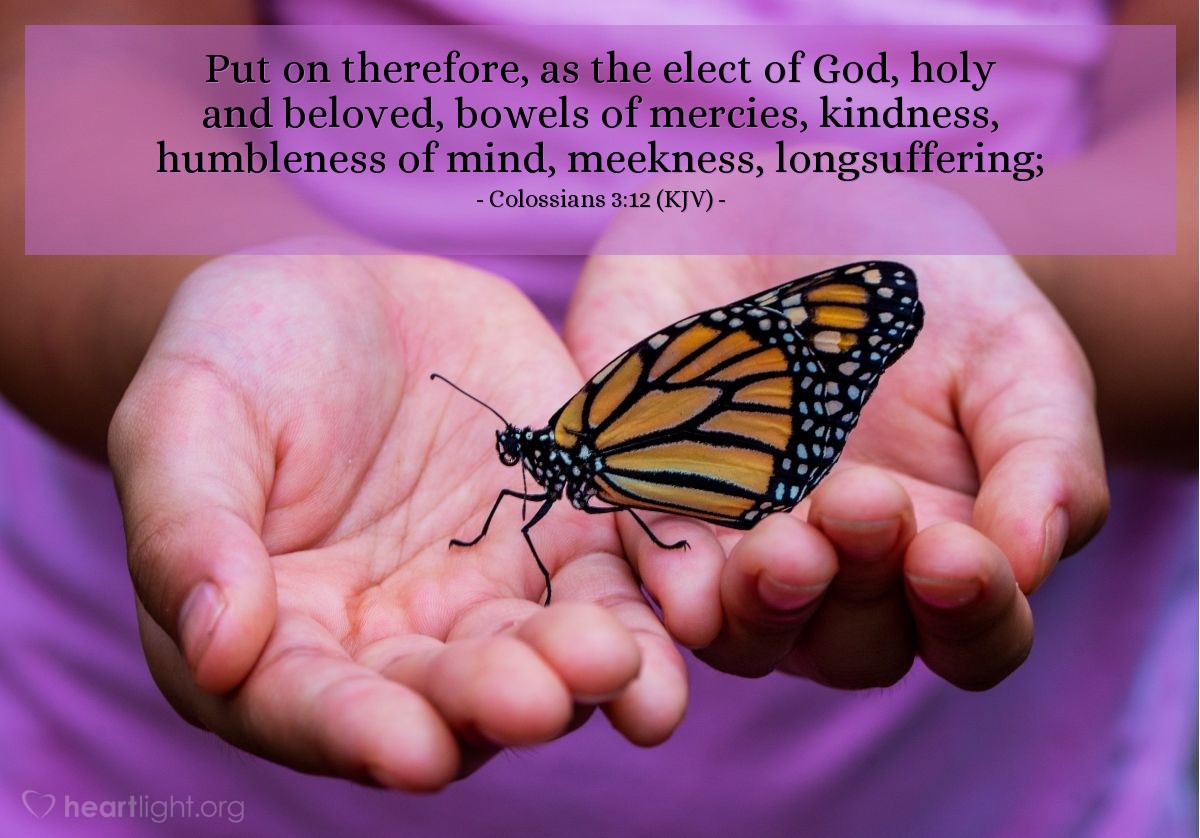 Illustration of Colossians 3:12 (KJV) — Put on therefore, as the elect of God, holy and beloved, bowels of mercies, kindness, humbleness of mind, meekness, longsuffering.