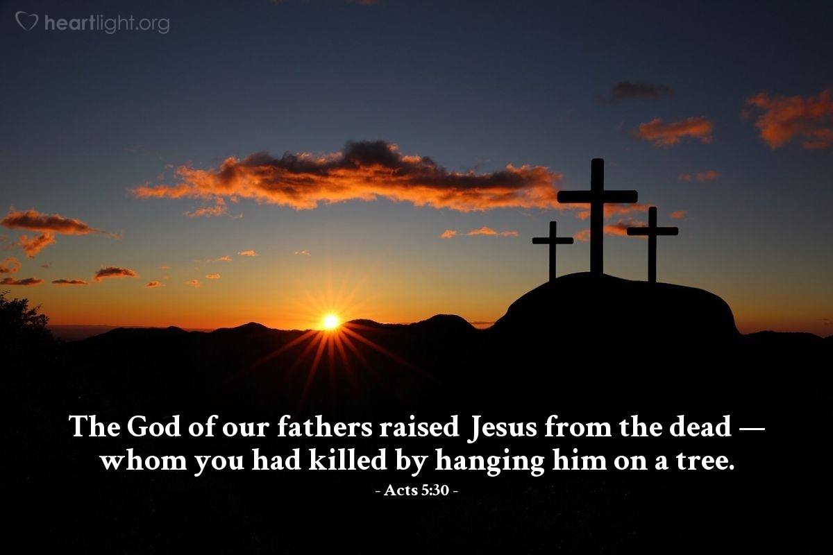 Acts 5:30 | [Peter continued the apostles' defense for proclaiming Jesus as Messiah and Lord:] "The God of our fathers raised Jesus from the dead — whom you had killed by hanging him on a tree."