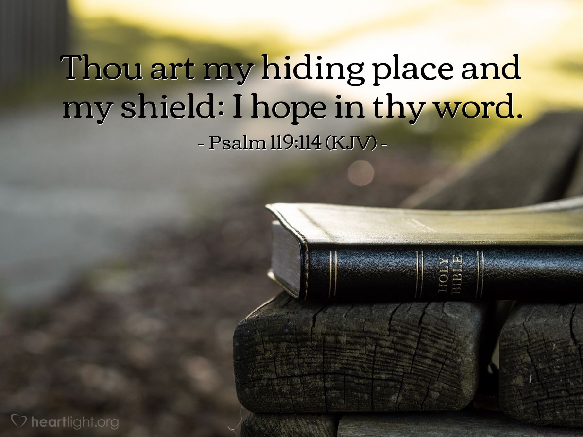 Illustration of Psalm 119:114 (KJV) — Thou art my hiding place and my shield: I hope in thy word.