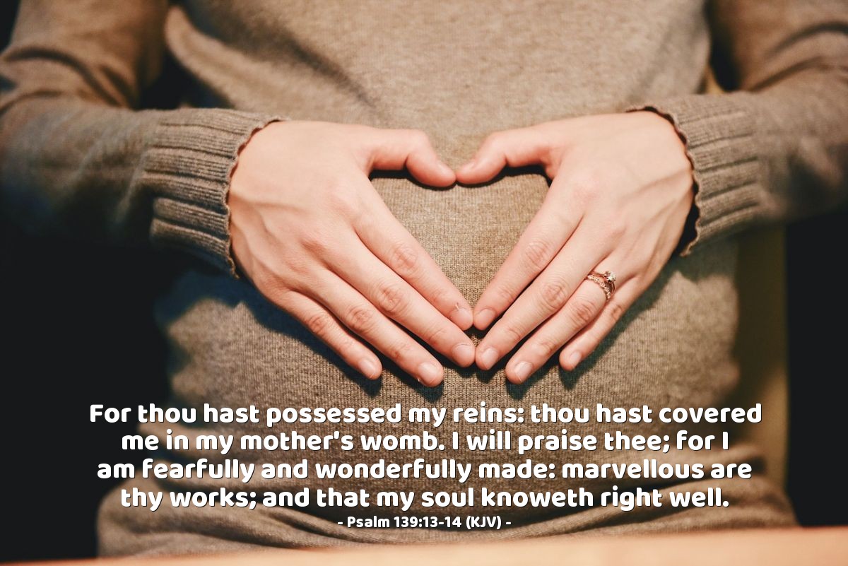 Illustration of Psalm 139:13-14 (KJV) — For thou hast possessed my reins: thou hast covered me in my mother's womb. I will praise thee; for I am fearfully and wonderfully made: marvellous are thy works; and that my soul knoweth right well.