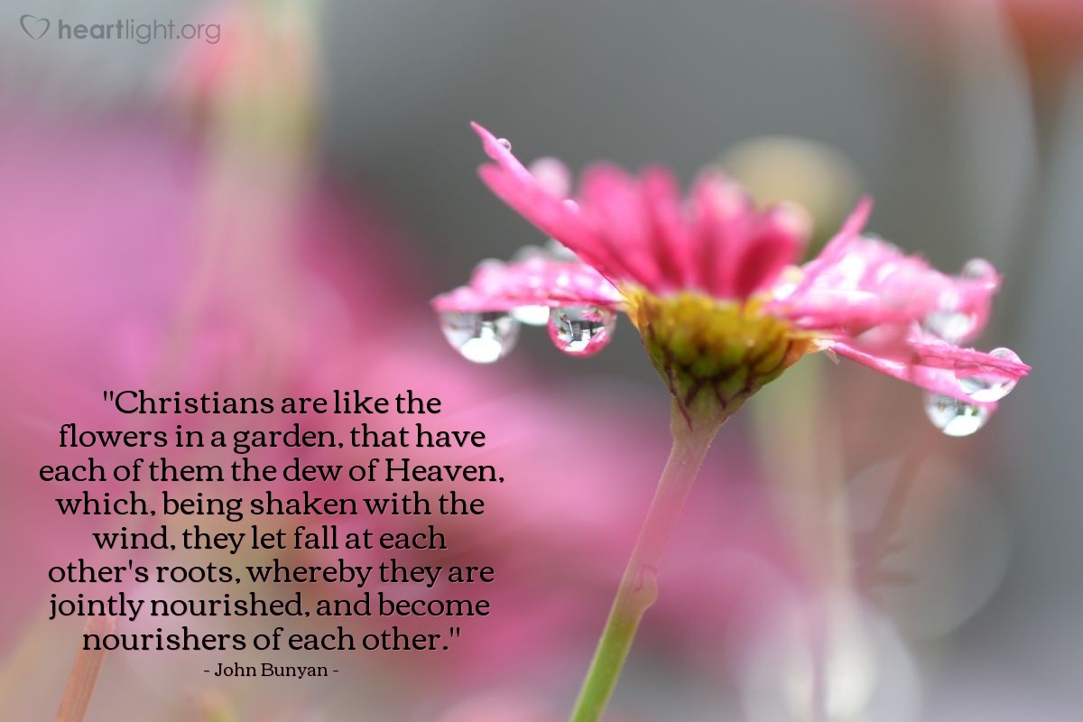Illustration of John Bunyan — "Christians are like the flowers in a garden, that have each of them the dew of Heaven, which, being shaken with the wind, they let fall at each other's roots, whereby they are jointly nourished, and become nourishers of each other."