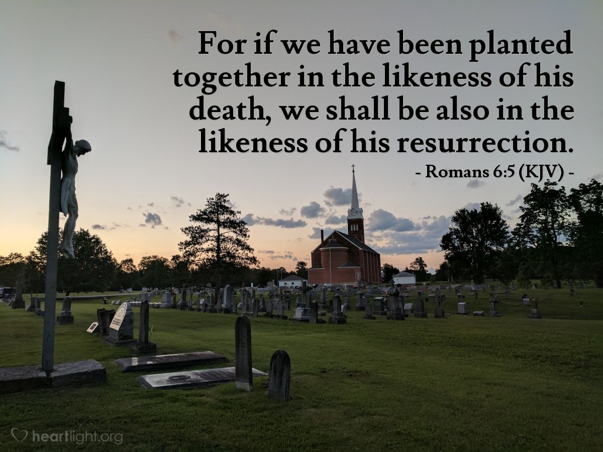 Illustration of Romans 6:5 (KJV) — For if we have been planted together in the likeness of his death, we shall be also in the likeness of his resurrection.