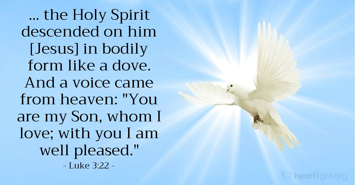 Illustration of Luke 3:22 — [After Jesus' baptism by John,] the Holy Spirit descended on him in bodily form like a dove. And a voice came from heaven: "You are my Son, whom I love; with you I am well pleased."