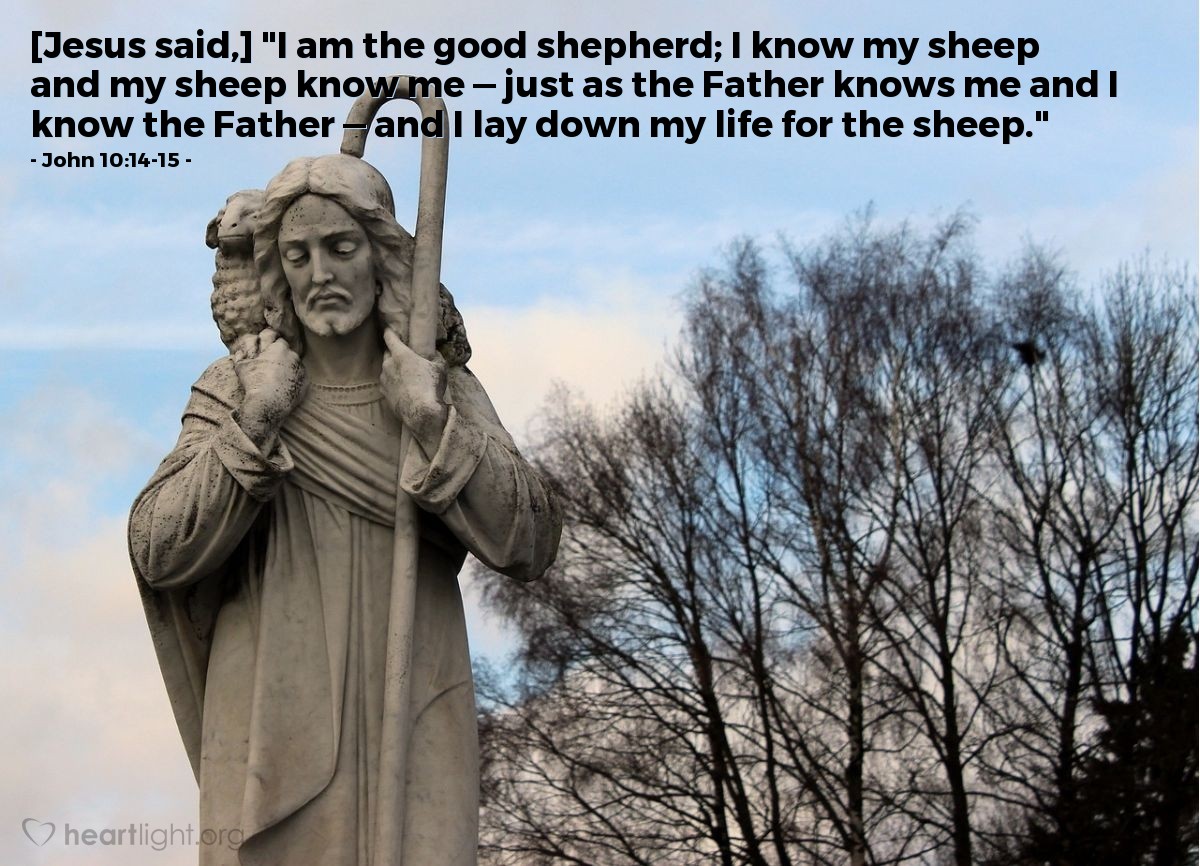 Illustration of John 10:14-15 — [Jesus said,] "I am the good shepherd; I know my sheep and my sheep know me — just as the Father knows me and I know the Father — and I lay down my life for the sheep."