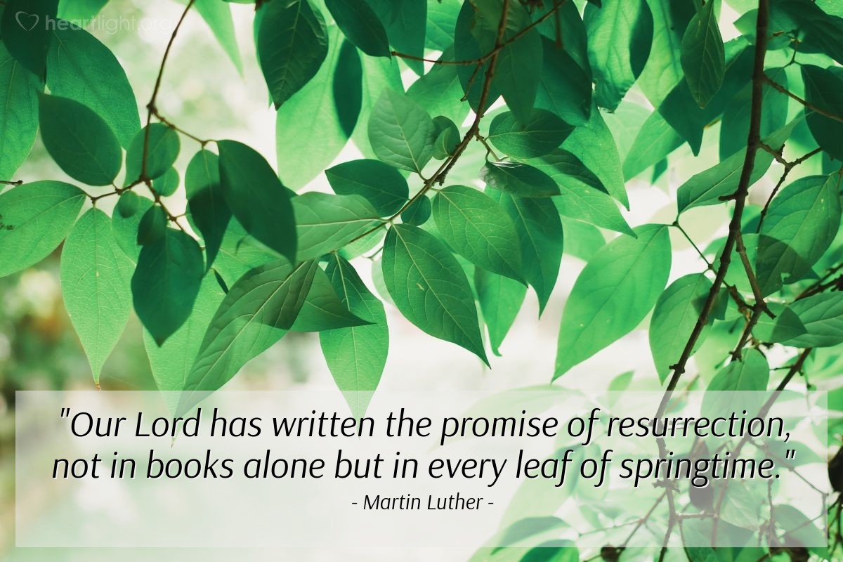 Illustration of Martin Luther — "Our Lord has written the promise of resurrection, not in books alone but in every leaf of springtime."