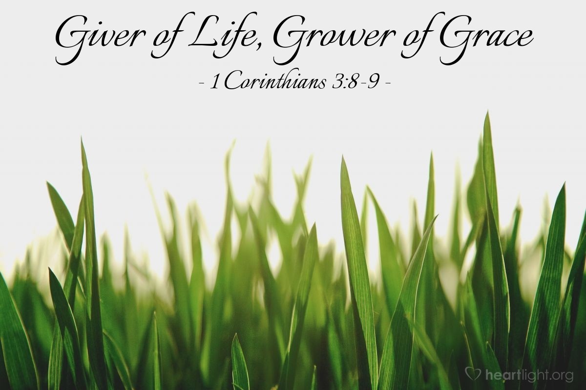 Giver of Life, Grower of Grace — 1 Corinthians 3:8-9