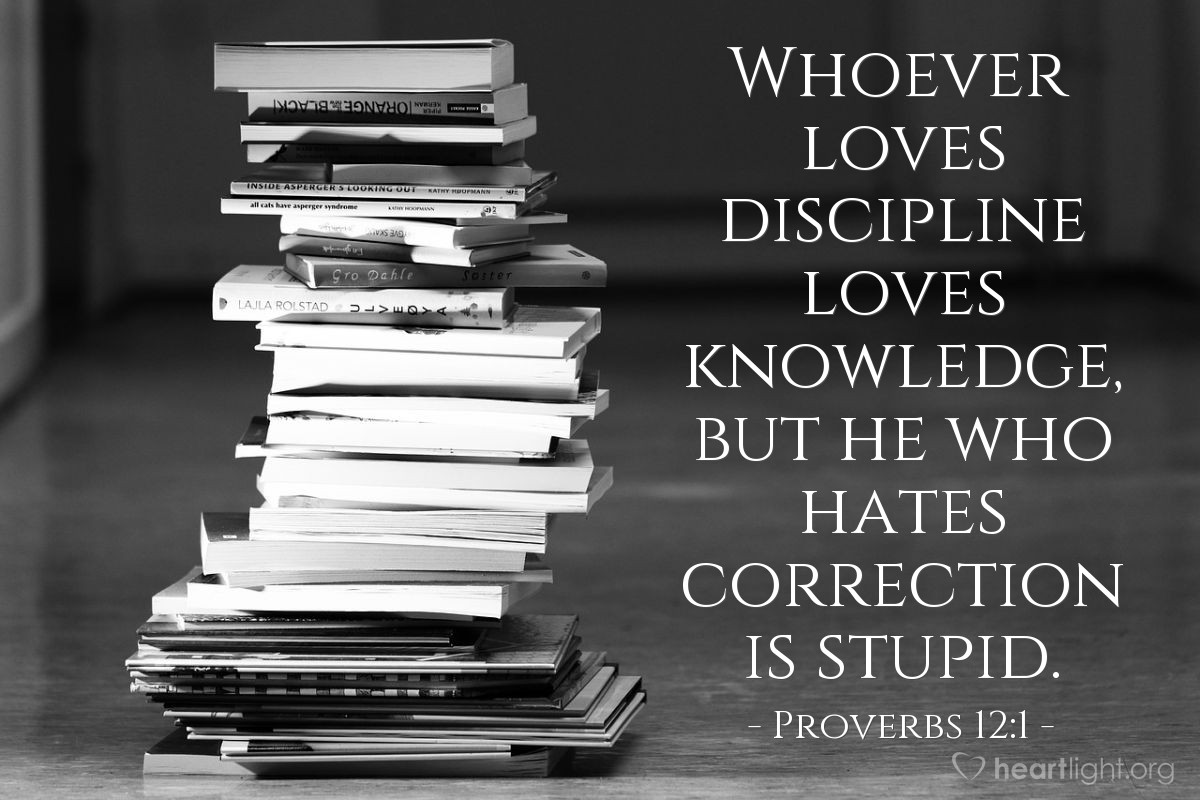 Illustration of Proverbs 12:1 — Whoever loves discipline loves knowledge, but he who hates correction is stupid.