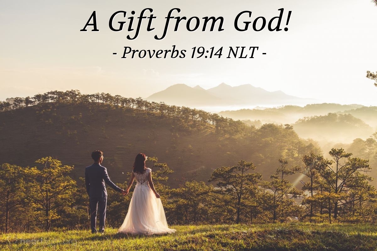 Illustration of Proverbs 19:14 NLT — Fathers can give their sons an inheritance of houses and wealth, but only the Lord can give an understanding wife.