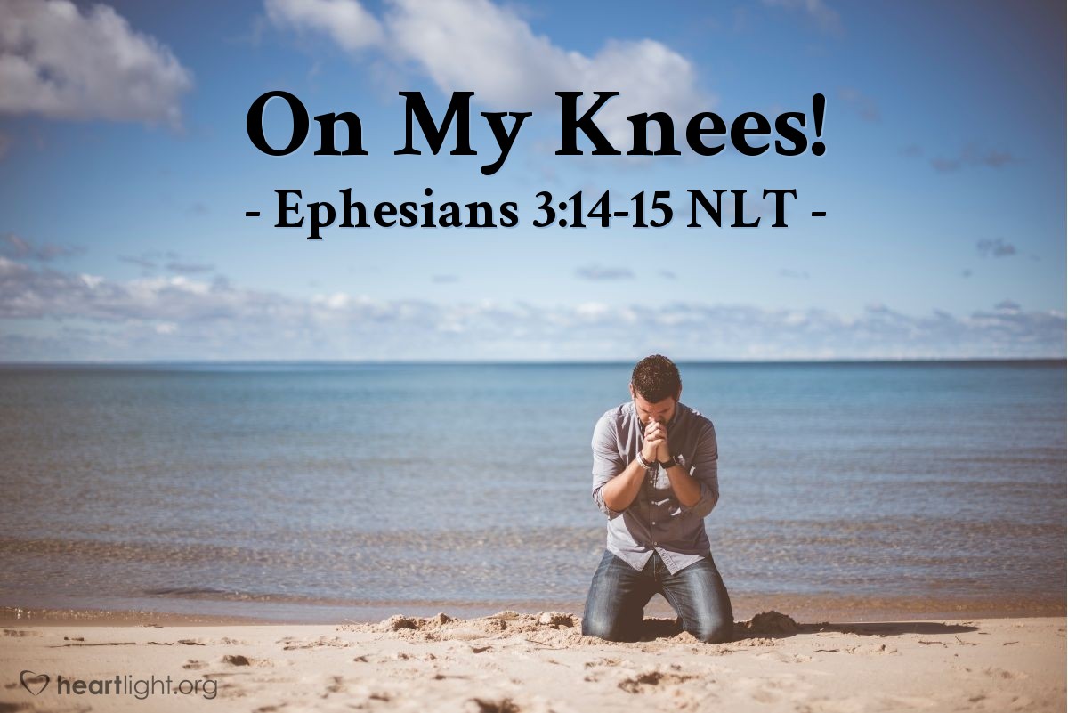 Illustration of Ephesians 3:14-15 NLT — When I think of all [God's plans to unify all races through the church to display his divine wisdom], I fall to my knees and pray to the Father, the Creator of everything in heaven and on earth.