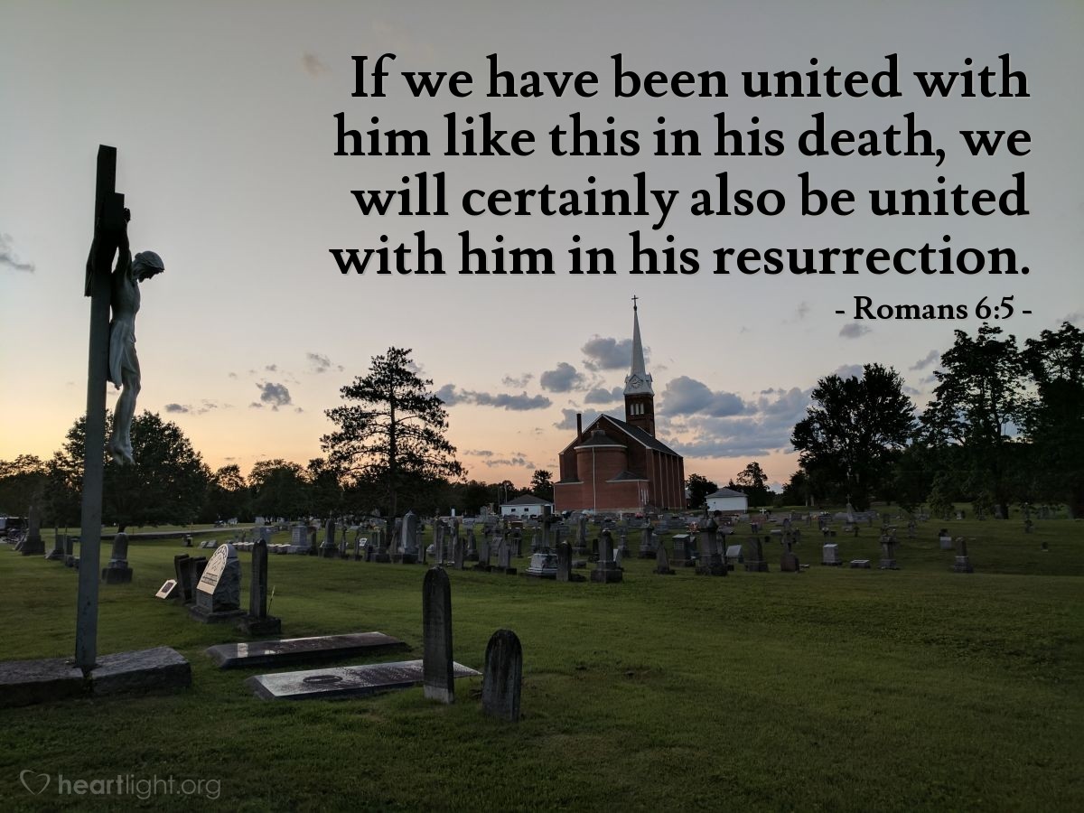 Illustration of Romans 6:5 — If we have been united with him like this in his death, we will certainly also be united with him in his resurrection.