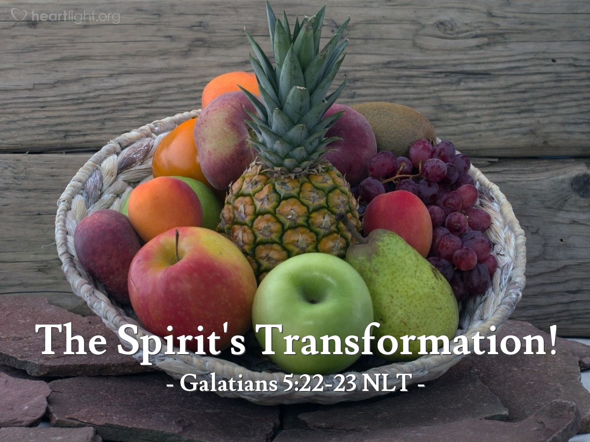 Illustration of Galatians 5:22-23 NLT — But the Holy Spirit produces this kind of fruit in our lives: love, joy, peace, patience, kindness, goodness, faithfulness, gentleness, and self-control. There is no law against these things!