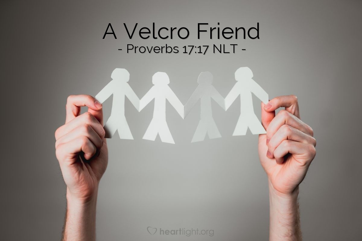 Illustration of Proverbs 17:17 NLT — A friend loves at all times, and a brother is born for a time of adversity.