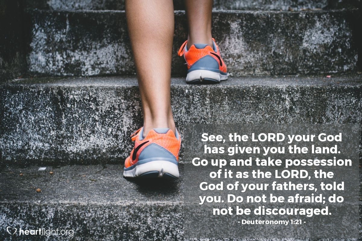 Deuteronomy 1:21 | See, the LORD your God has given you the land. Go up and take possession of it as the LORD, the God of your fathers, told you. Do not be afraid; do not be discouraged.