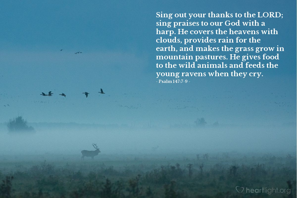 Illustration of Psalm 147:7-9 — Sing out your thanks to the Lord; sing praises to our God with a harp. He covers the heavens with clouds, provides rain for the earth, and makes the grass grow in mountain pastures. He gives food to the wild animals and feeds the young ravens when they cry.