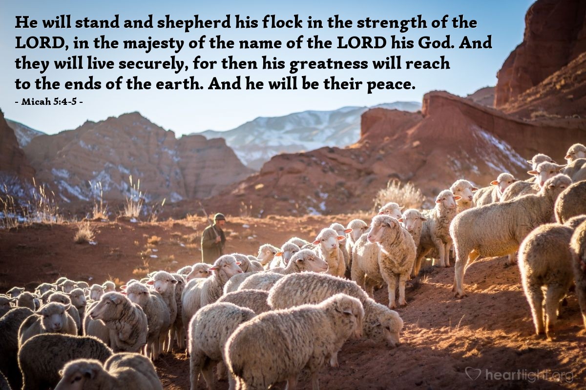 Illustration of Micah 5:4-5 — [For the Lord says about his eternal ruler from Bethlehem,] "He will stand and shepherd his flock in the strength of the Lord, in the majesty of the name of the Lord his God. And they will live securely, for then his greatness will reach to the ends of the earth. And he will be their peace."
