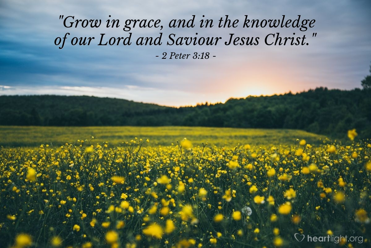 Illustration of 2 Peter 3:18 — "Grow in grace, and in the knowledge of our Lord and Saviour Jesus Christ."
