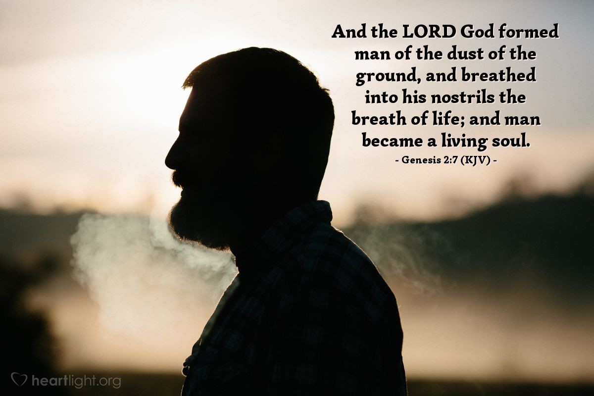 Illustration of Genesis 2:7 (KJV) — And the LORD God formed man of the dust of the ground, and breathed into his nostrils the breath of life; and man became a living soul.