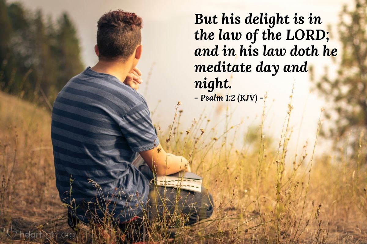 Illustration of Psalm 1:2 (KJV) — But his delight is in the law of the Lord; and in his law doth he meditate day and night.
