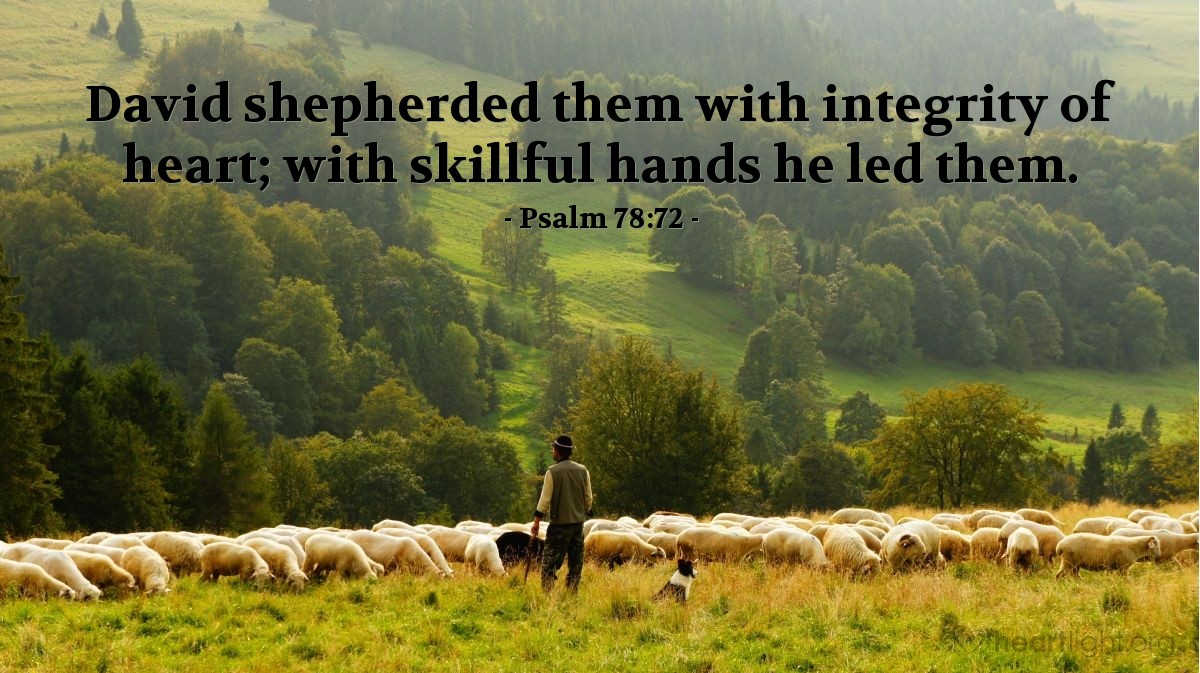 Psalm 78:72 | David shepherded them with integrity of heart; with skillful hands he led them.