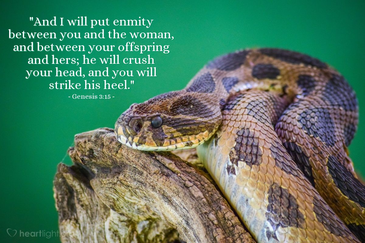 Illustration of Genesis 3:15 — [The Lord God said to the serpent,] "And I will put enmity between you and the woman, and between your offspring and hers; he will crush your head, and you will strike his heel."