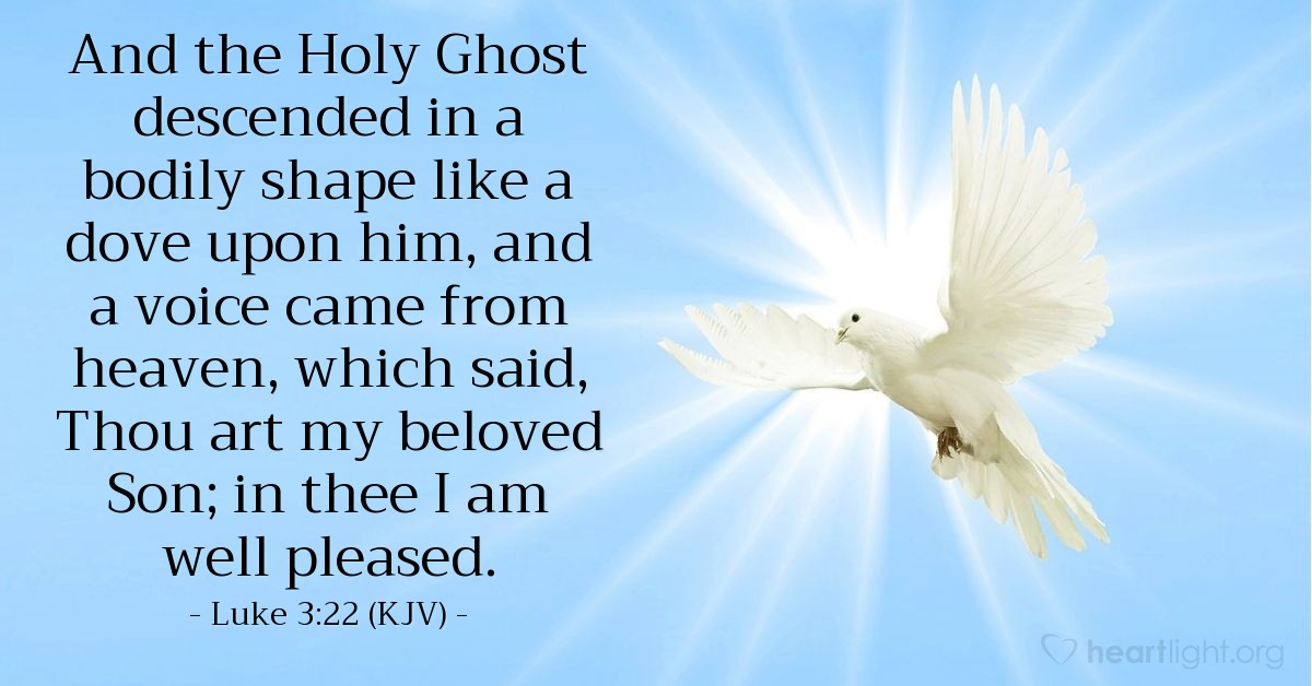 Illustration of Luke 3:22 (KJV) — And the Holy Ghost descended in a bodily shape like a dove upon him, and a voice came from heaven, which said, Thou art my beloved Son; in thee I am well pleased.
