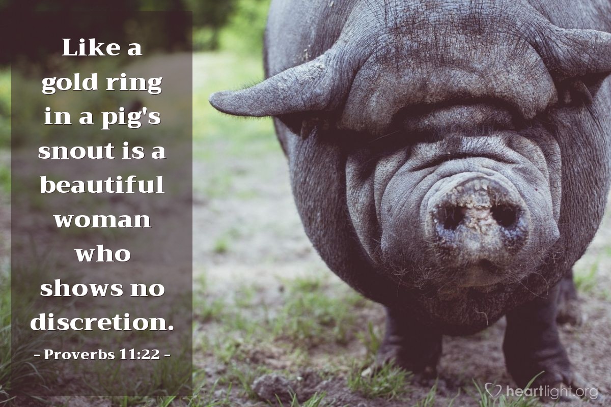 Illustration of Proverbs 11:22 — Like a gold ring in a pig's snout is a beautiful woman who shows no discretion.