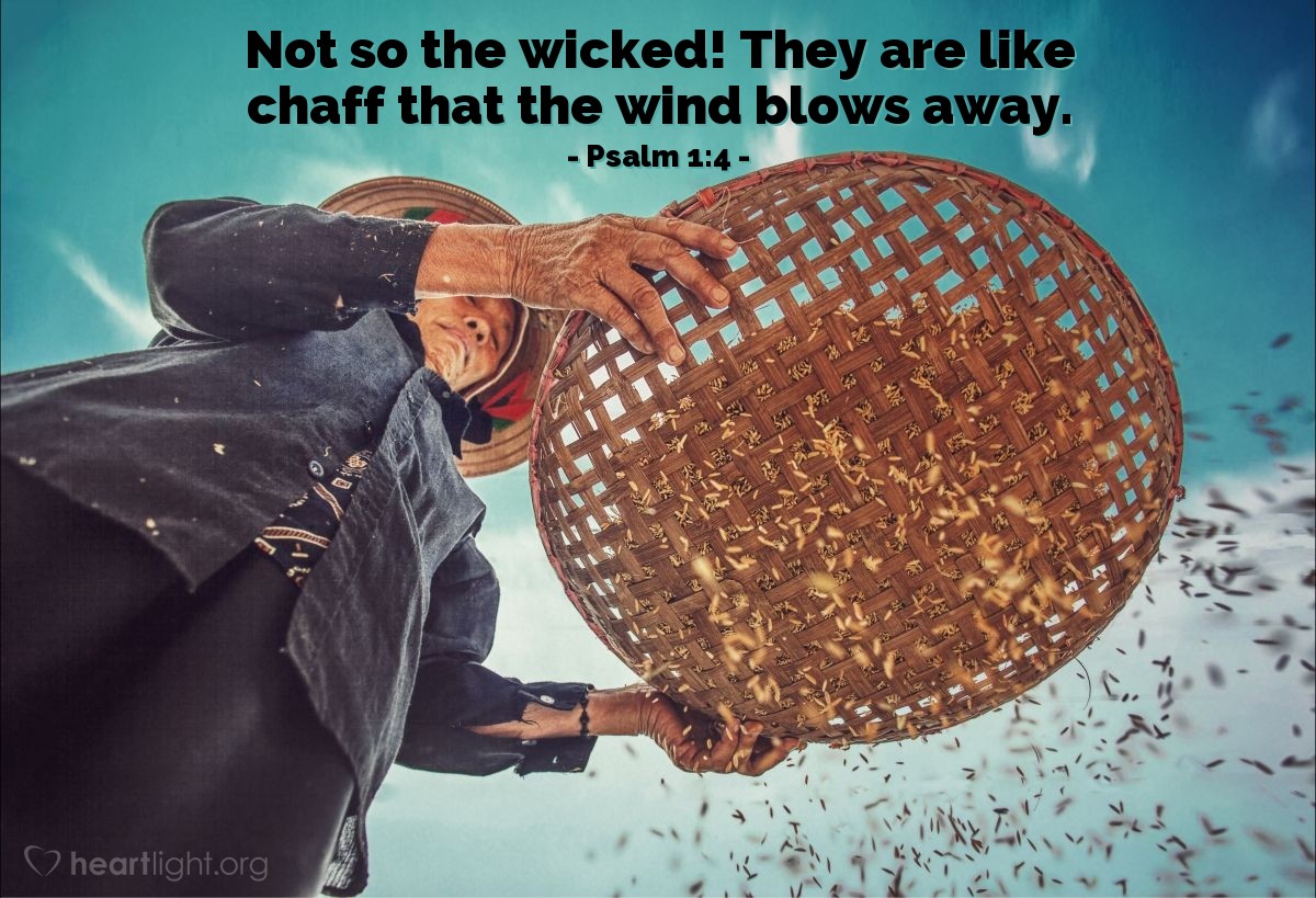 Psalm 1:4 | Not so the wicked! They are like chaff that the wind blows away.