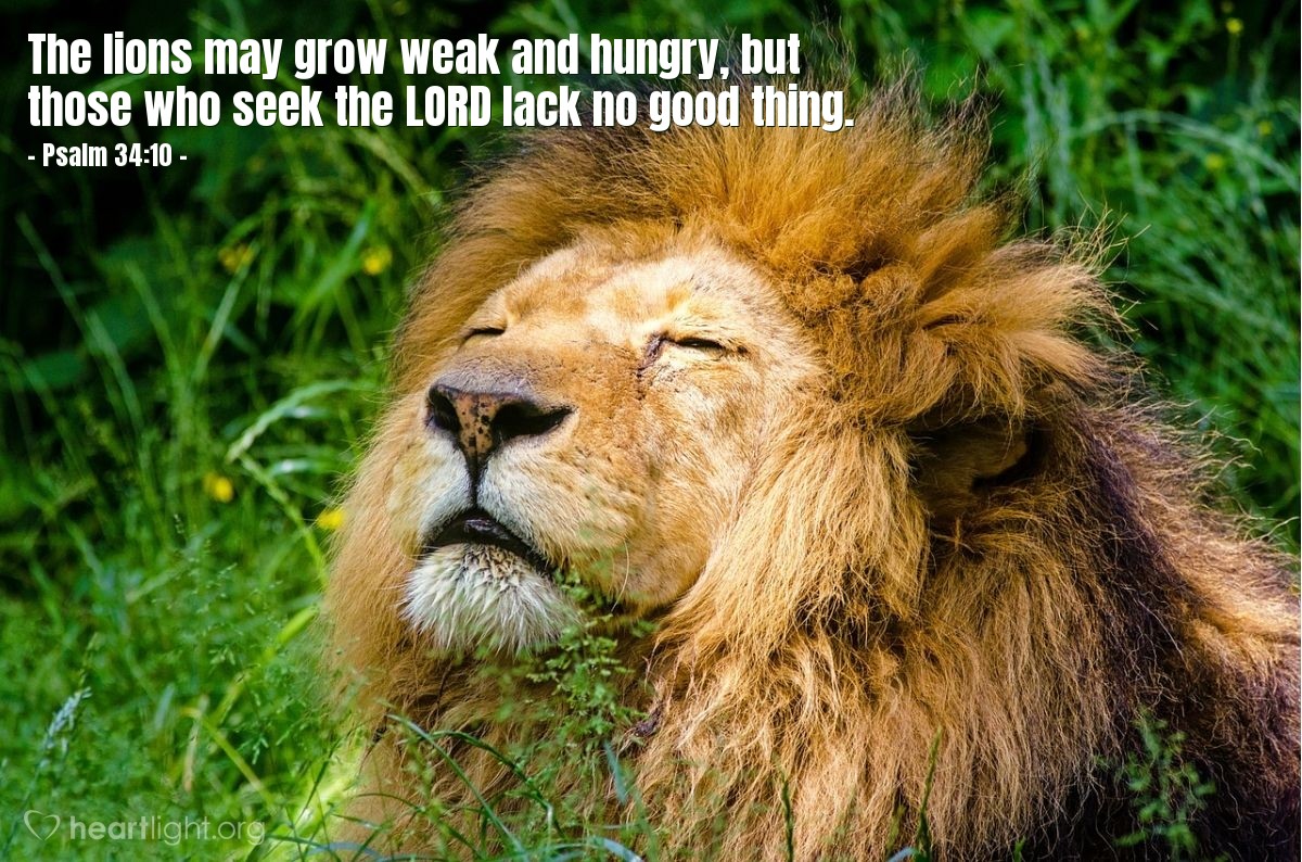 Psalm 34:10 Illustrated: "The lions may grow weak and hungry, but..." —  Heartlight® Gallery