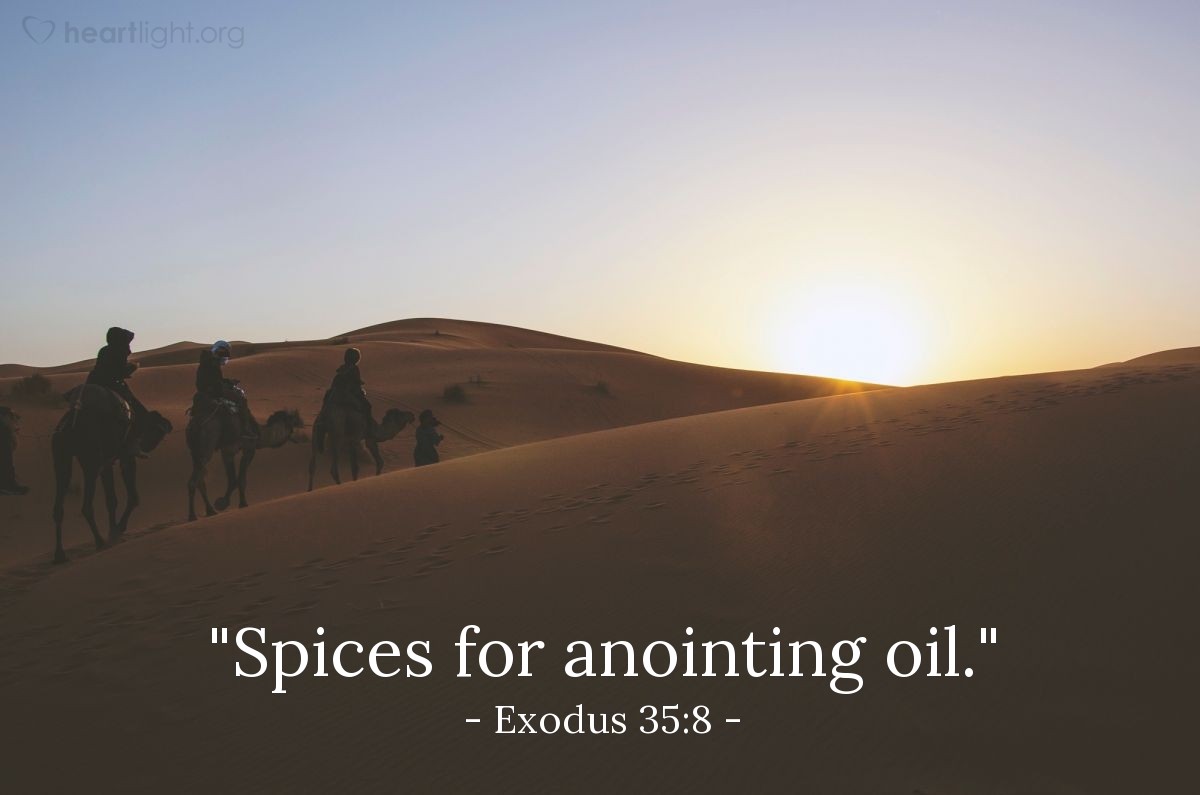 Illustration of Exodus 35:8 — "Spices for anointing oil."