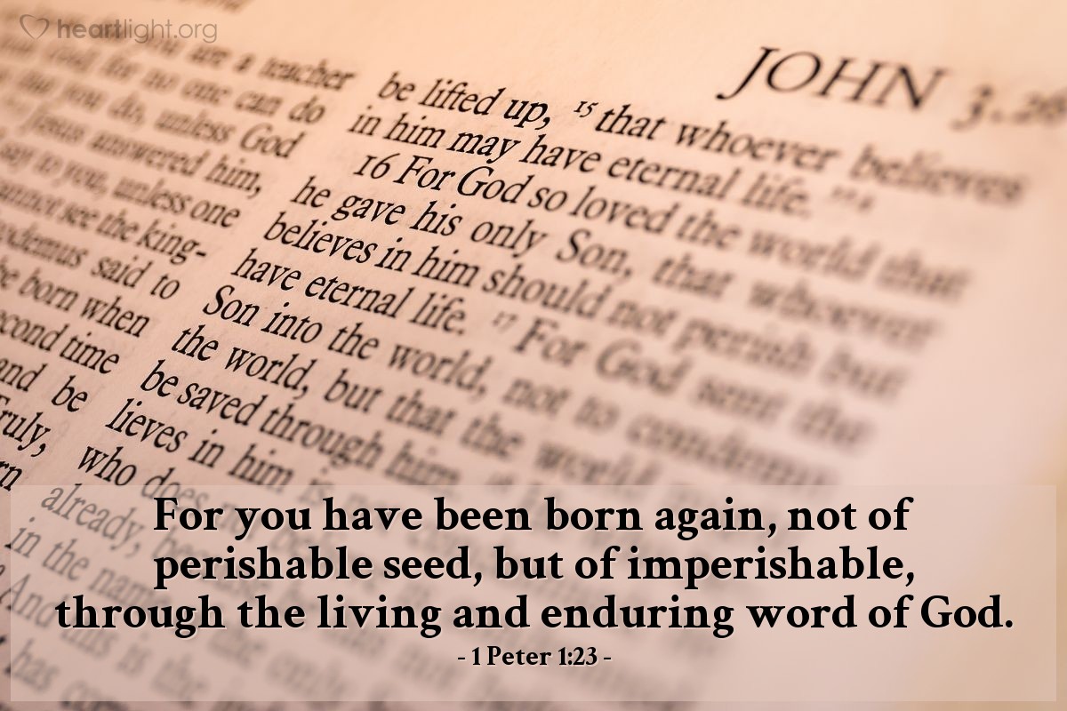 1 Peter 1:23 | For you have been born again, not of perishable seed, but of imperishable, through the living and enduring word of God.