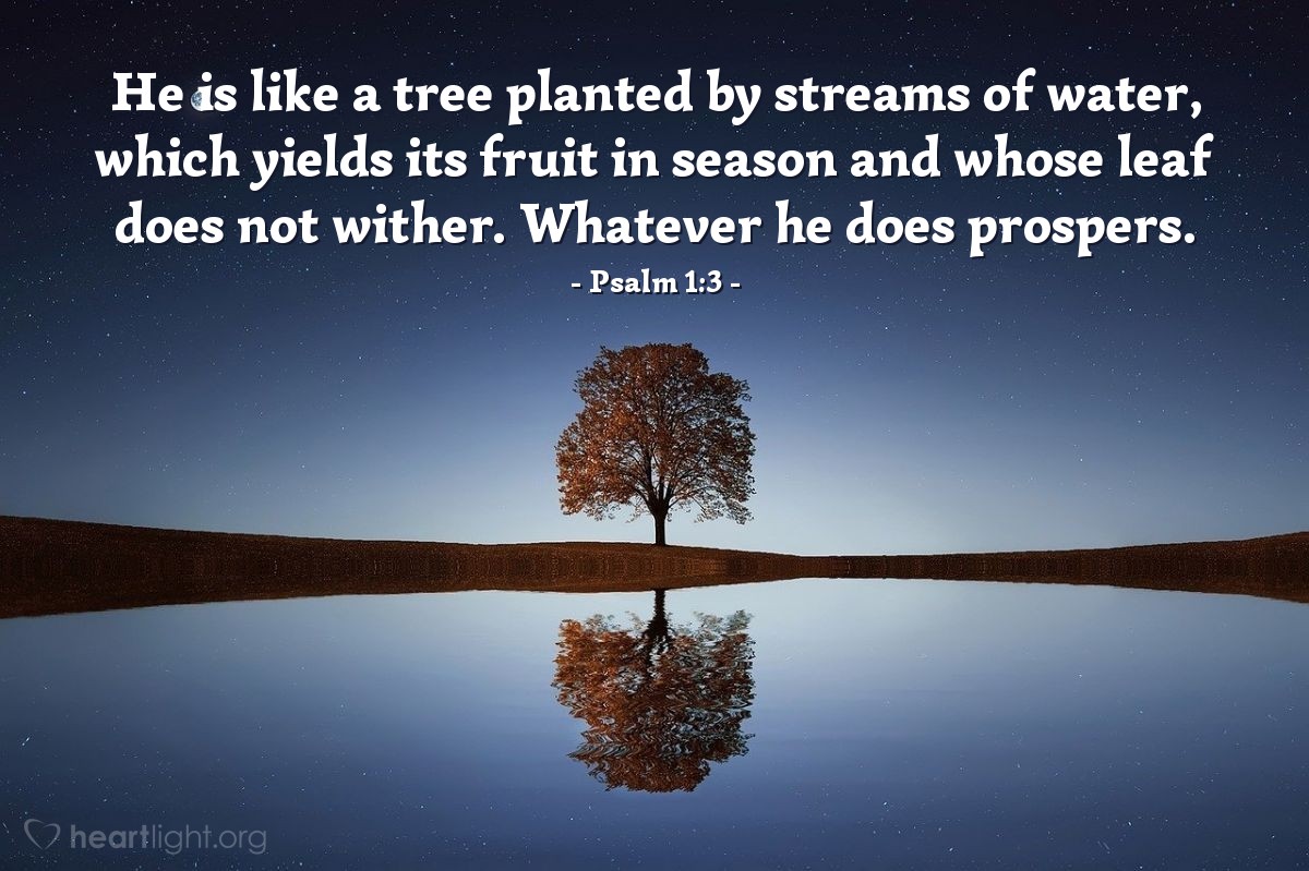 Psalm 1:3 | He is like a tree planted by streams of water, which yields its fruit in season and whose leaf does not wither. Whatever he does prospers.