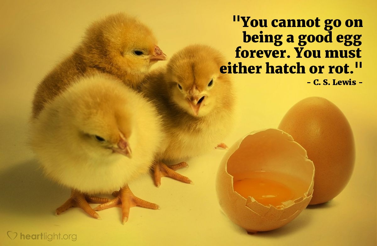 Illustration of C. S. Lewis — "You cannot go on being a good egg forever. You must either hatch or rot."