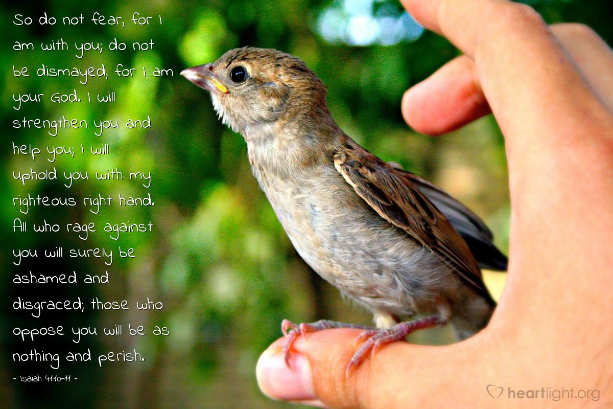 Isaiah 41:10-11 | So do not fear, for I am with you; do not be dismayed, for I am your God. I will strengthen you and help you; I will uphold you with my righteous right hand. All who rage against you will surely be ashamed and disgraced; those who oppose you will be as nothing and perish.