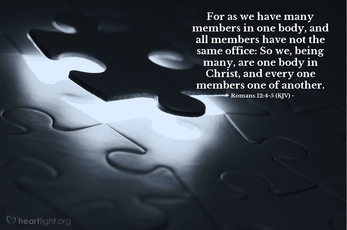 Illustration of Romans 12:4-5 (KJV) — For as we have many members in one body, and all members have not the same office: So we, being many, are one body in Christ, and every one members one of another.