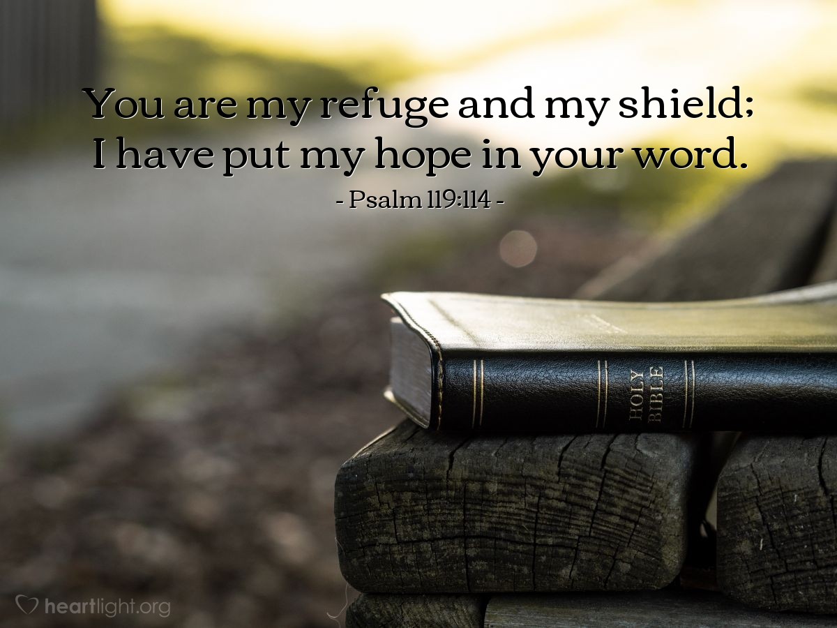 Psalm 119:114 | You are my refuge and my shield; I have put my hope in your word.