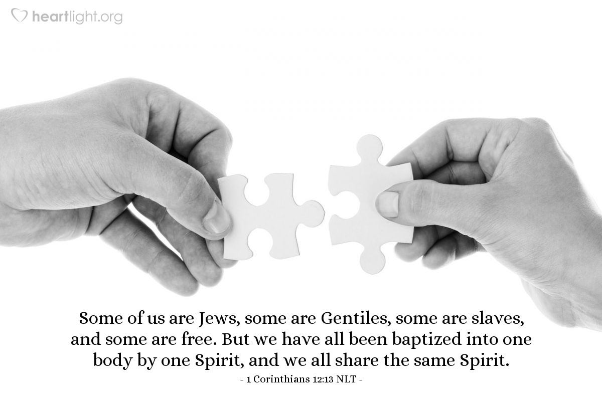 Illustration of 1 Corinthians 12:13 NLT — Some of us are Jews, some are Gentiles, some are slaves, and some are free. But we have all been baptized into one body by one Spirit, and we all share the same Spirit.