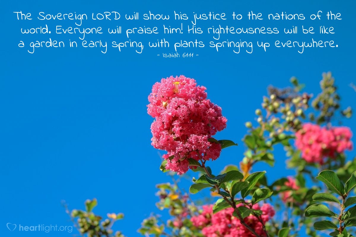 Illustration of Isaiah 61:11 — The Sovereign LORD will show his justice to the nations of the world. Everyone will praise him! His righteousness will be like a garden in early spring, with plants springing up everywhere.