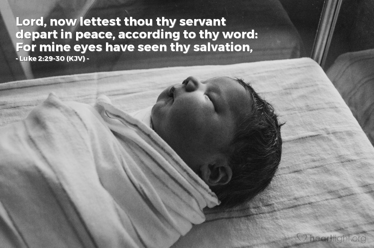 Illustration of Luke 2:29-30 (KJV) — Lord, now lettest thou thy servant depart in peace, according to thy word: For mine eyes have seen thy salvation,