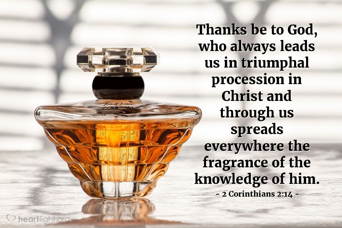 Illustration of 2 Corinthians 2:14 — Thanks be to God, who always leads us in triumphal procession in Christ and through us spreads everywhere the fragrance of the knowledge of him.