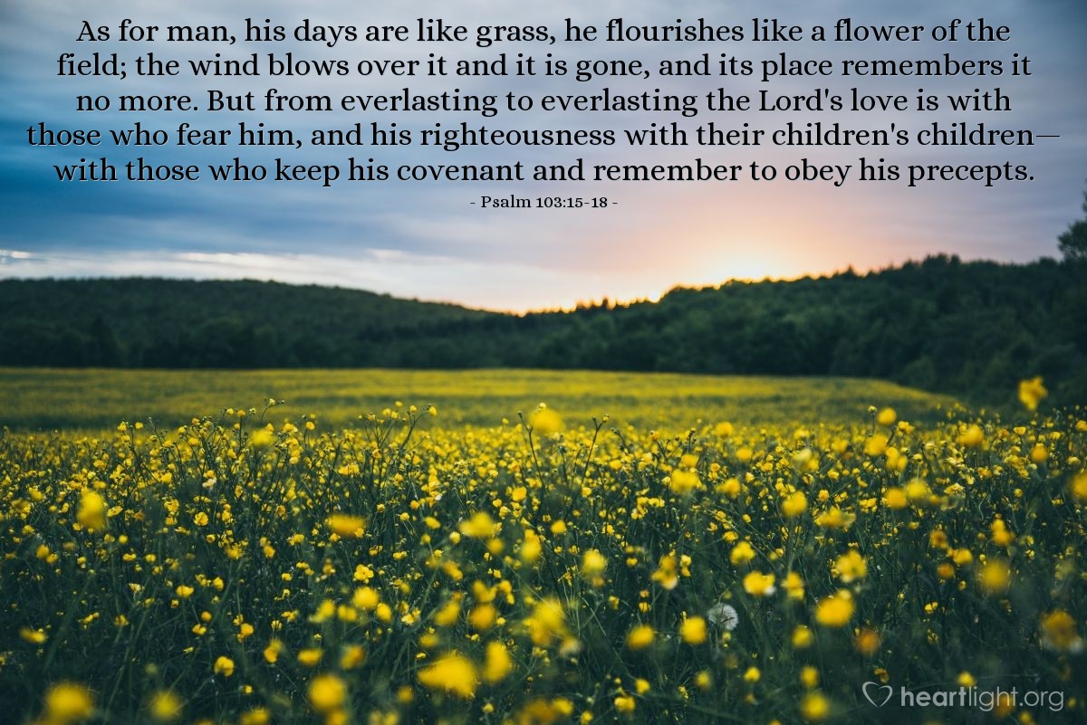 Illustration of Psalm 103:15-18 — As for man, his days are like grass, he flourishes like a flower of the field; the wind blows over it and it is gone, and its place remembers it no more.  But from everlasting to everlasting the Lord's love is with those who fear him, and his righteousness with their children's children— with those who keep his covenant and remember to obey his precepts.