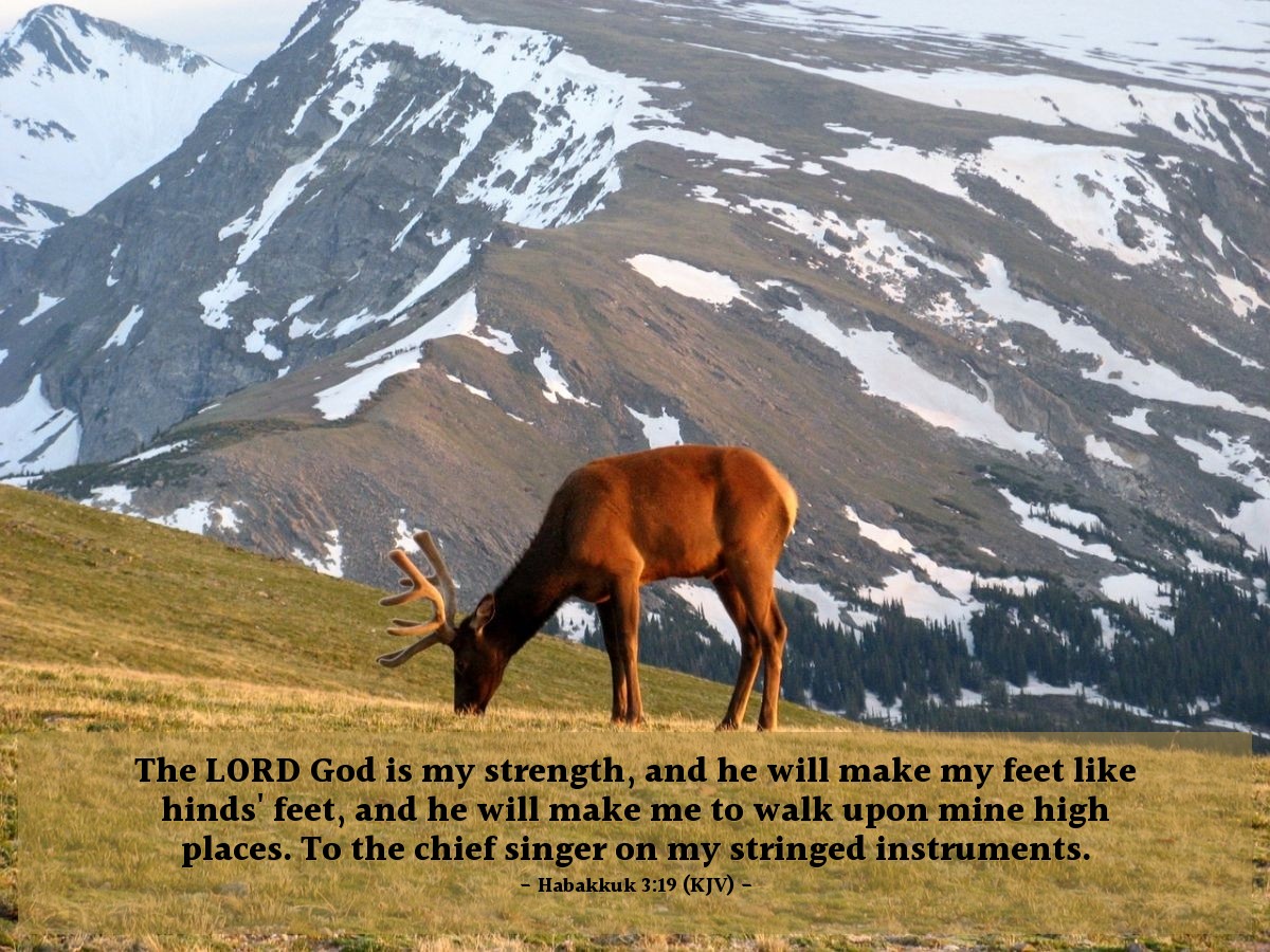 Illustration of Habakkuk 3:19 (KJV) — The Lord God is my strength, and he will make my feet like hinds' feet, and he will make me to walk upon mine high places. To the chief singer on my stringed instruments.