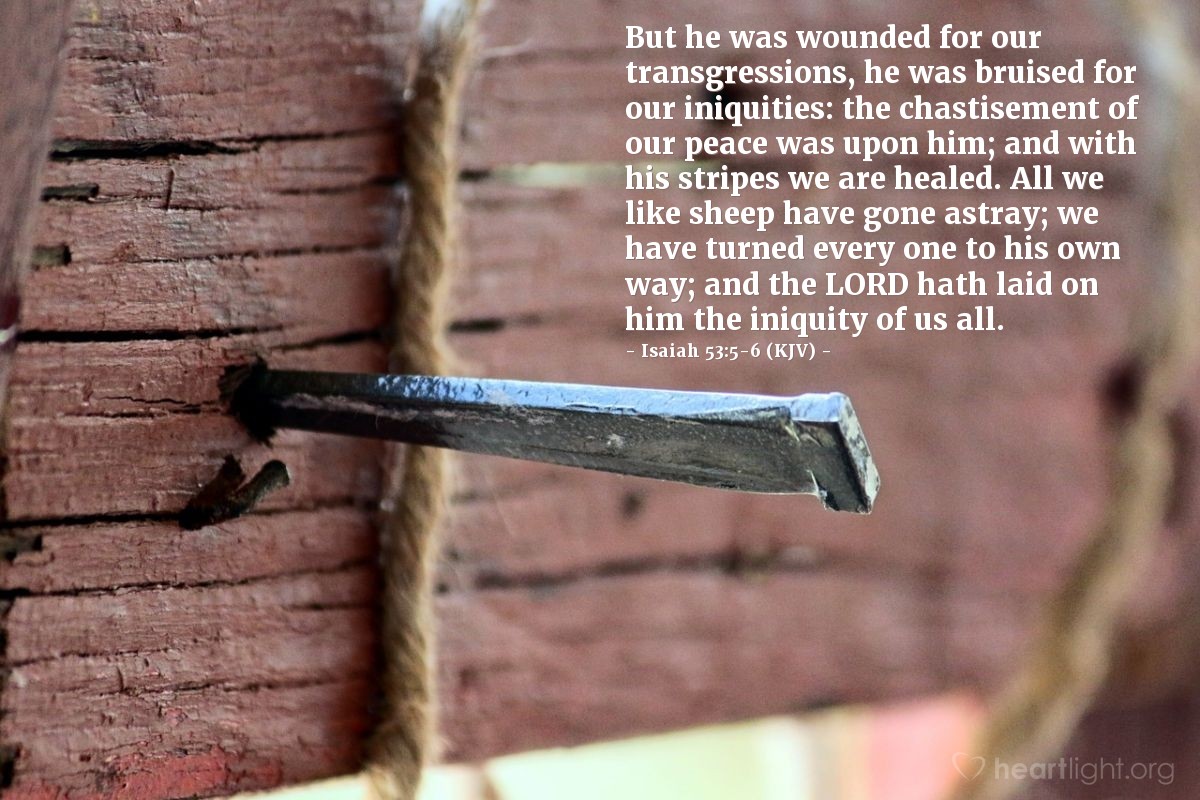 Illustration of Isaiah 53:5-6 (KJV) — But he was wounded for our transgressions, he was bruised for our iniquities: the chastisement of our peace was upon him; and with his stripes we are healed. All we like sheep have gone astray; we have turned every one to his own way; and the Lord hath laid on him the iniquity of us all.