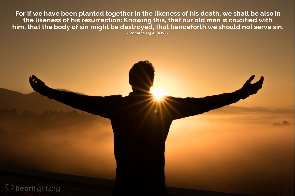 Illustration of Romans 6:5-6 (KJV) — For if we have been planted together in the likeness of his death, we shall be also in the likeness of his resurrection: Knowing this, that our old man is crucified with him, that the body of sin might be destroyed, that henceforth we should not serve sin.