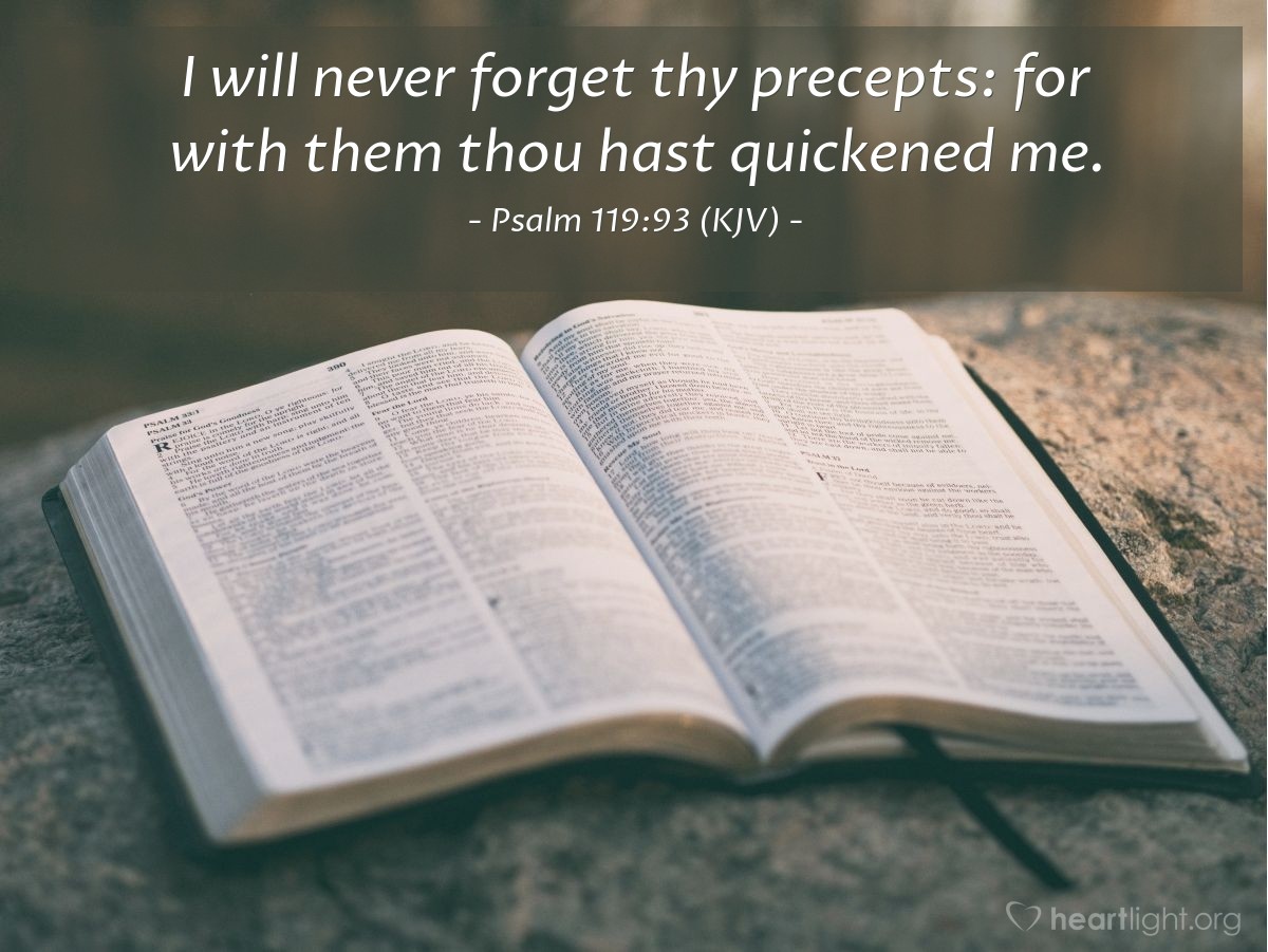 Illustration of Psalm 119:93 (KJV) — I will never forget thy precepts: for with them thou hast quickened me.