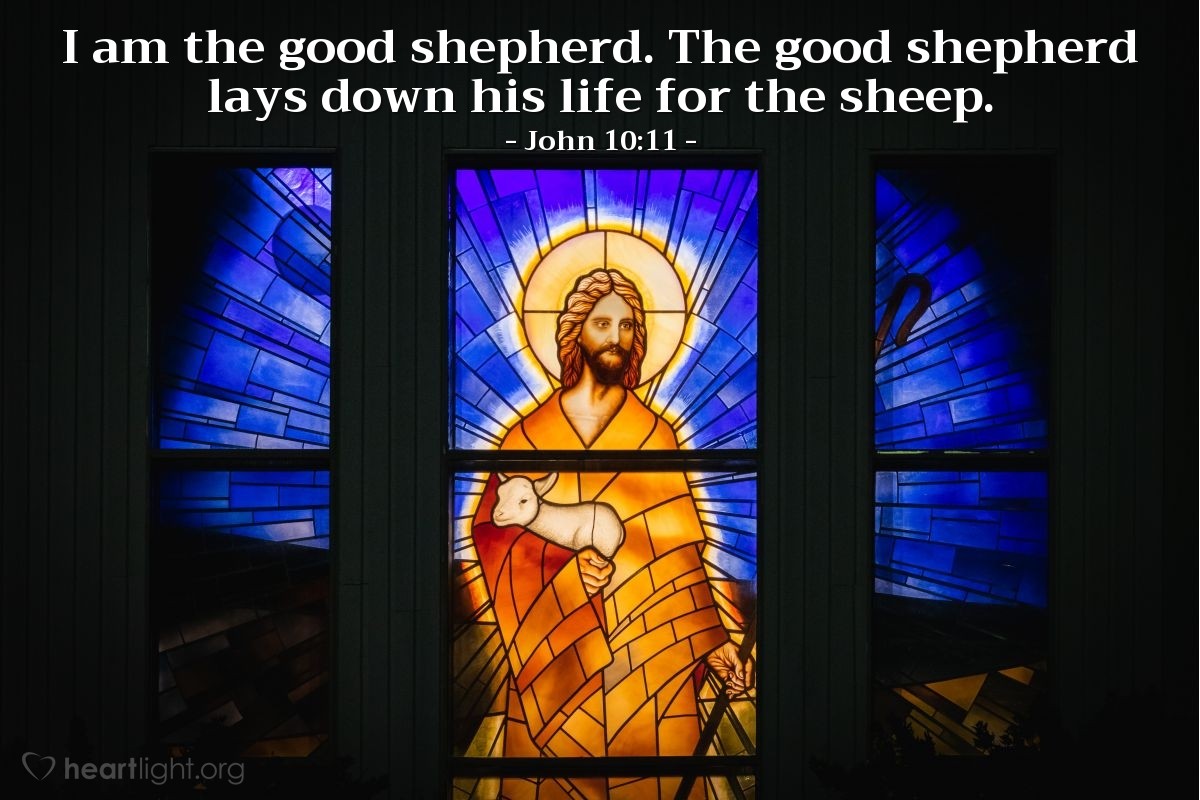 Illustration of John 10:11 on Shepherd