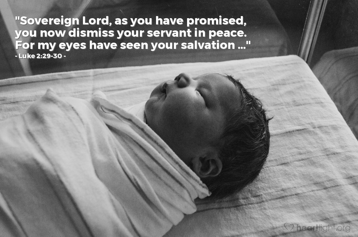 Luke 2:29-30 | "Sovereign Lord, as you have promised, you now dismiss your servant in peace. For my eyes have seen your salvation..."