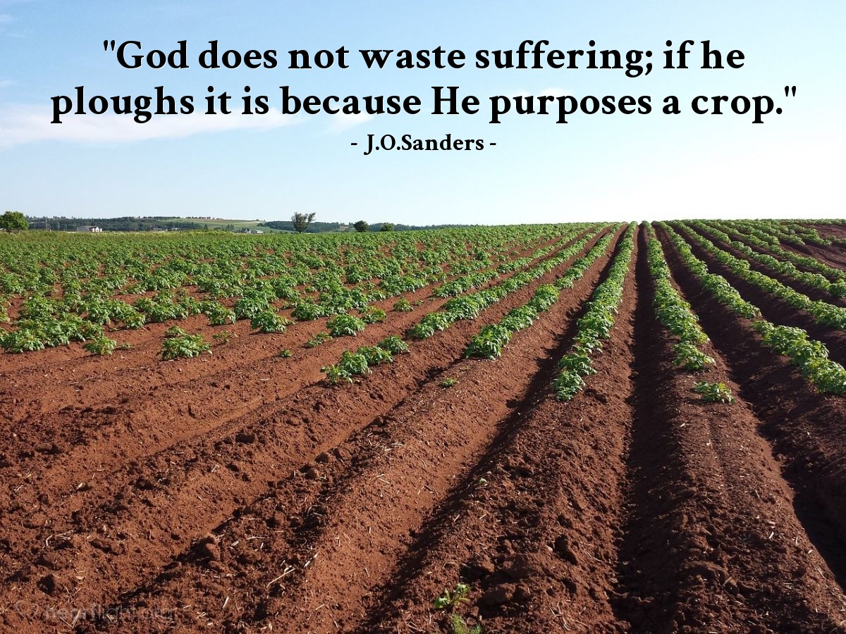 Illustration of J.O.Sanders — "God does not waste suffering; if he ploughs it is because He purposes a crop."