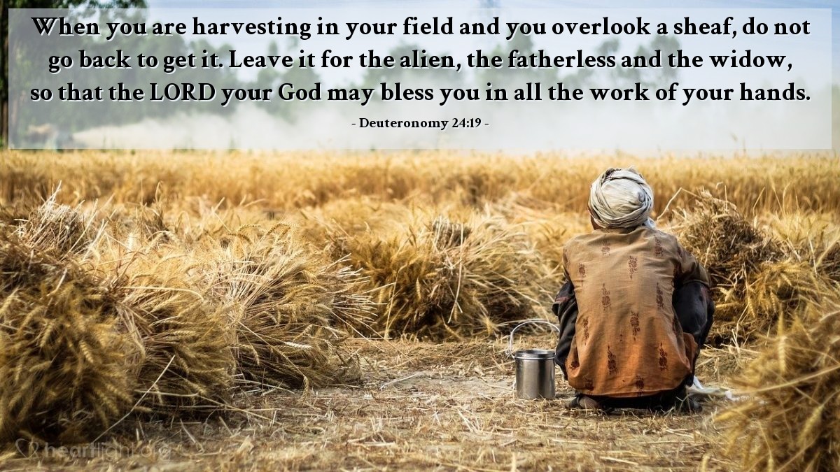 Deuteronomy 24:19 | When you are harvesting in your field and you overlook a sheaf, do not go back to get it. Leave it for the alien, the fatherless and the widow, so that the LORD your God may bless you in all the work of your hands.