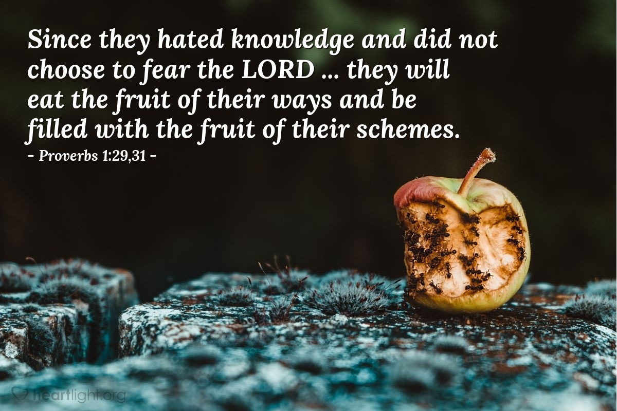 Illustration of Proverbs 1:29,31 — Since they hated knowledge and did not choose to fear the Lord ... they will eat the fruit of their ways and be filled with the fruit of their schemes.